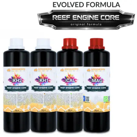 Modern Reef - RKS REEF ENGINE CORE 7.7x High Concentrate - 4×500 ml voor zeewateraquarium